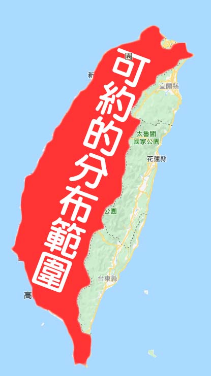 外約服務地區